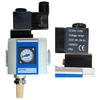 Airtac Soft Start Up Valve Air Regulator For LR / HD Machines