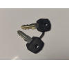 Pair Of Black Fobbed Keys For Control VMCs Siemens Mode Select