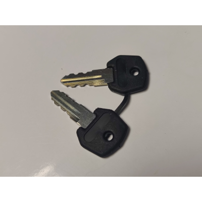 Pair Of Black Fobbed Keys For Control VMCs Siemens Mode Select