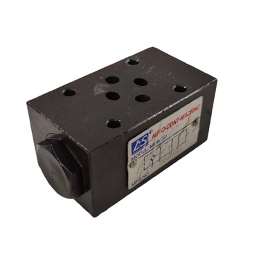 Check Valve For 8 Station On RLX 780 